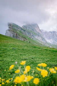 Scenic view of landscape against sky