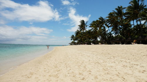 Scenic view of beach