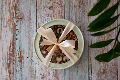 Directly above shot of potted plant on table