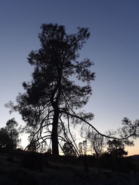 Silhouette trees on field against clear sky