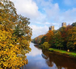 Trees by lake against sky during autumn