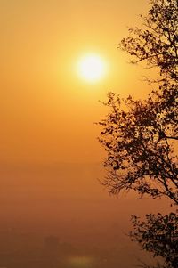 Silhouette tree against orange sky