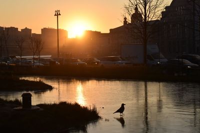 Silhouette birds on lake against sky during sunset