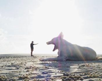 Side view of man with dog on beach