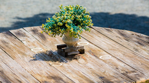 High angle view of flower pot on table