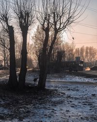 Silhouette bare trees by river against sky during sunset