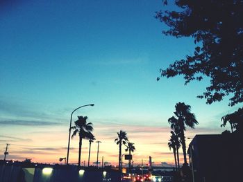 Low angle view of palm trees against sky