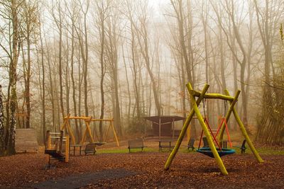 Playground and bare trees in forest during winter