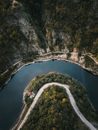 High angle view of river amidst trees