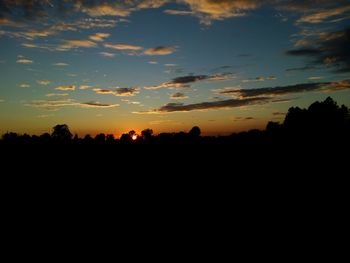 Silhouette trees against sky at night