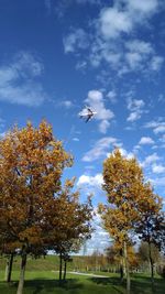 Low angle view of trees against sky during autumn