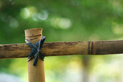 Close-up of rope tied on wooden post