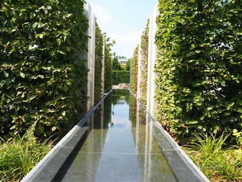 Panoramic view of footpath amidst trees against sky