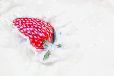 Close-up of strawberry on ice cream