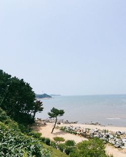 Scenic view of sea against clear sky