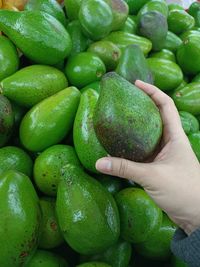 Cropped image of hand holding fruits at market