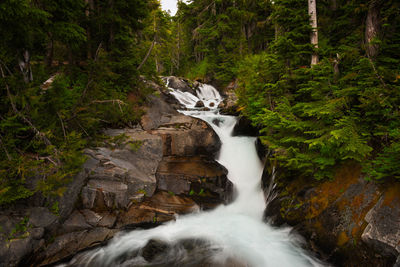 Stream flowing through rocks in forest