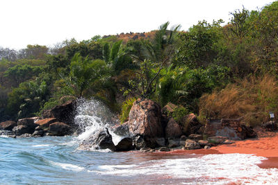 Scenic view of sea against clear sky