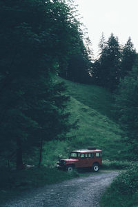 Car on road in forest