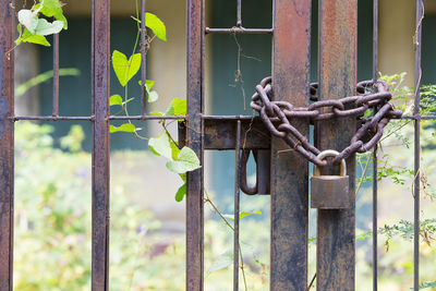 Close-up of rusty chain locked on metallic gate against abandoned building