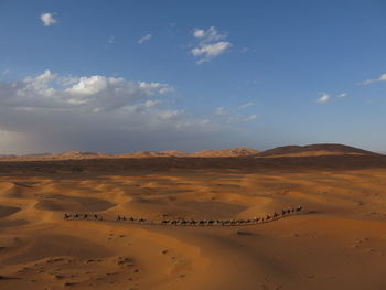 Scenic view of desert against sky