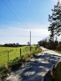 Road passing through field