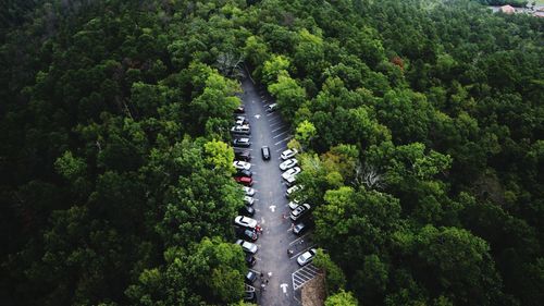 High angle view of road amidst trees in forest