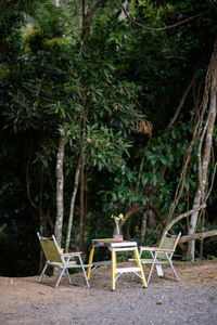 Empty chairs and table against trees in forest