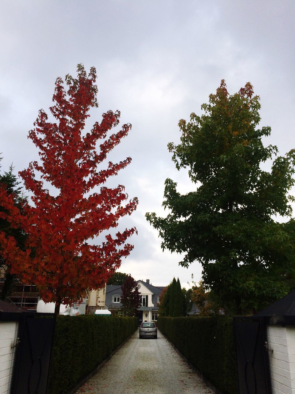 TREE BY BUILT STRUCTURE AGAINST SKY