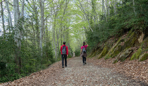 Rear view of people walking on footpath in forest