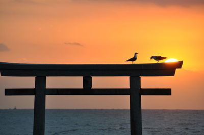 Seagull perching on wooden post in sea during sunset