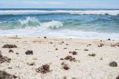 Scenic view of beach against sky