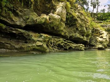 Scenic view of river flowing through rocks