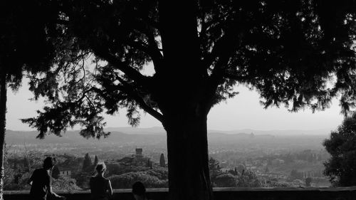 Silhouette people by tree against sky during foggy weather