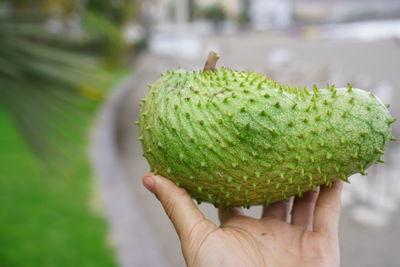 Close-up of hand holding fruit