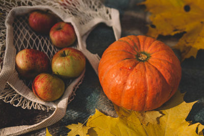 High angle view of pumpkins on table
