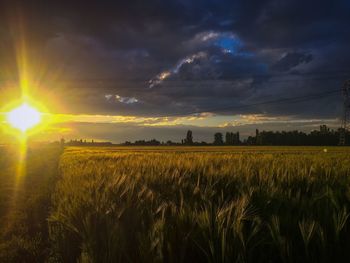 Scenic view of field against sky during sunset