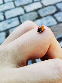 Cropped image of ladybug on hand