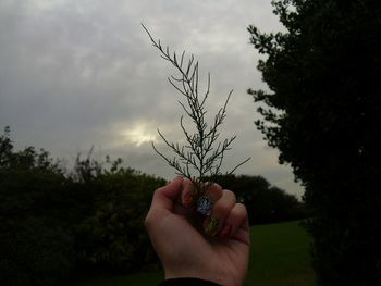 Cropped image of hand holding railing against sky