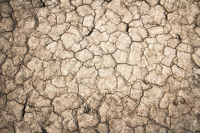 Full frame shot of cracked land