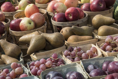 Close-up of fruits for sale