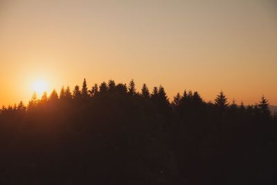 Silhouette trees against clear sky during sunset