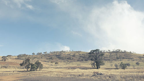 Scenic view of land against sky