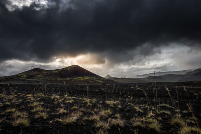 Scenic view of landscape against sky