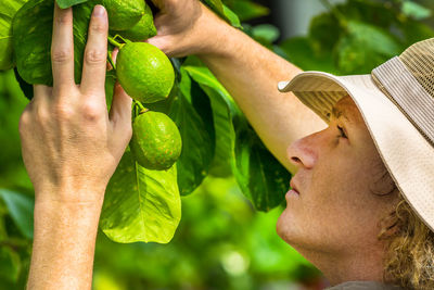 Side view of young man picking limes