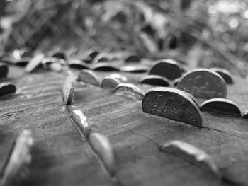 Close-up of metal