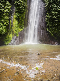 View of waterfall in forest