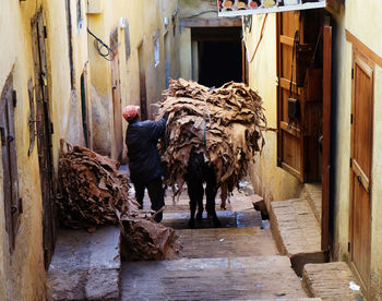 Way to the tanneries