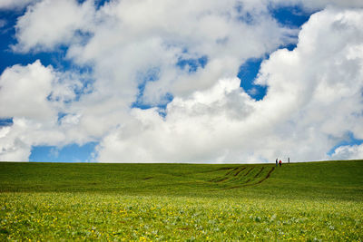 The endless, verdant kalajun prairie in xinjiang