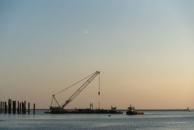 Silhouette of cranes at sunset